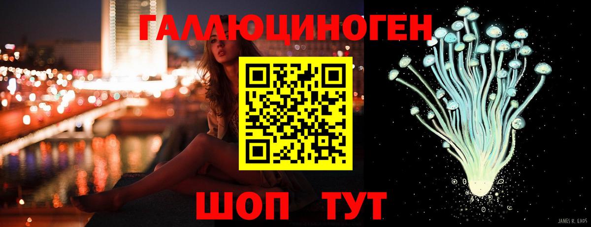 Галлюциногенные грибы Psilocybe Кашира