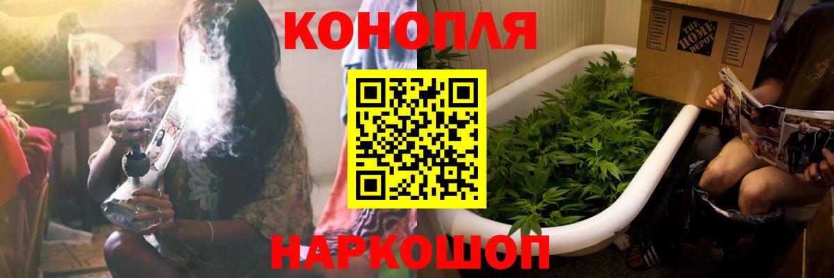 Конопля планчик Кашира